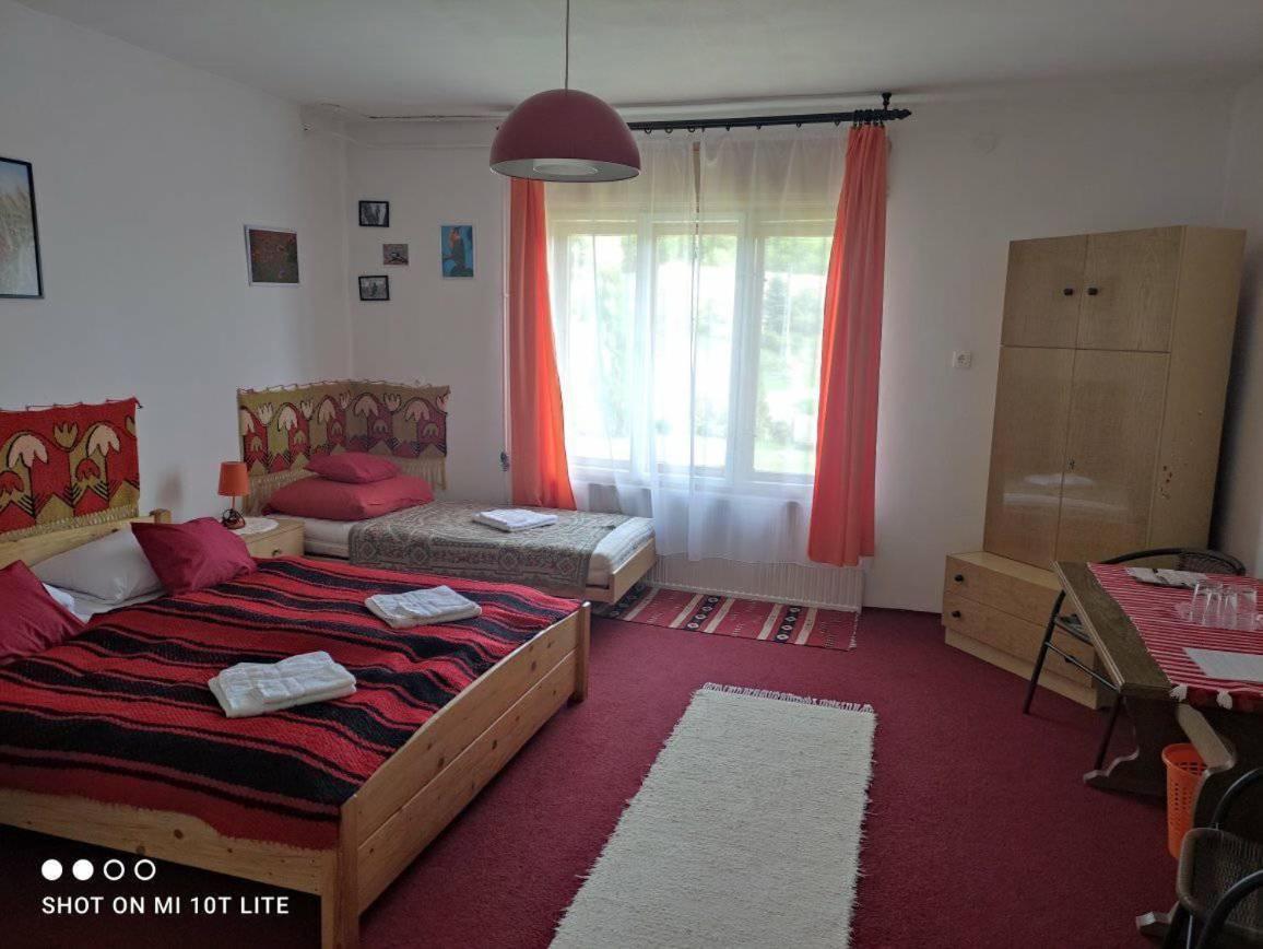 Apartament Szajko Vendeghaz Mucsi